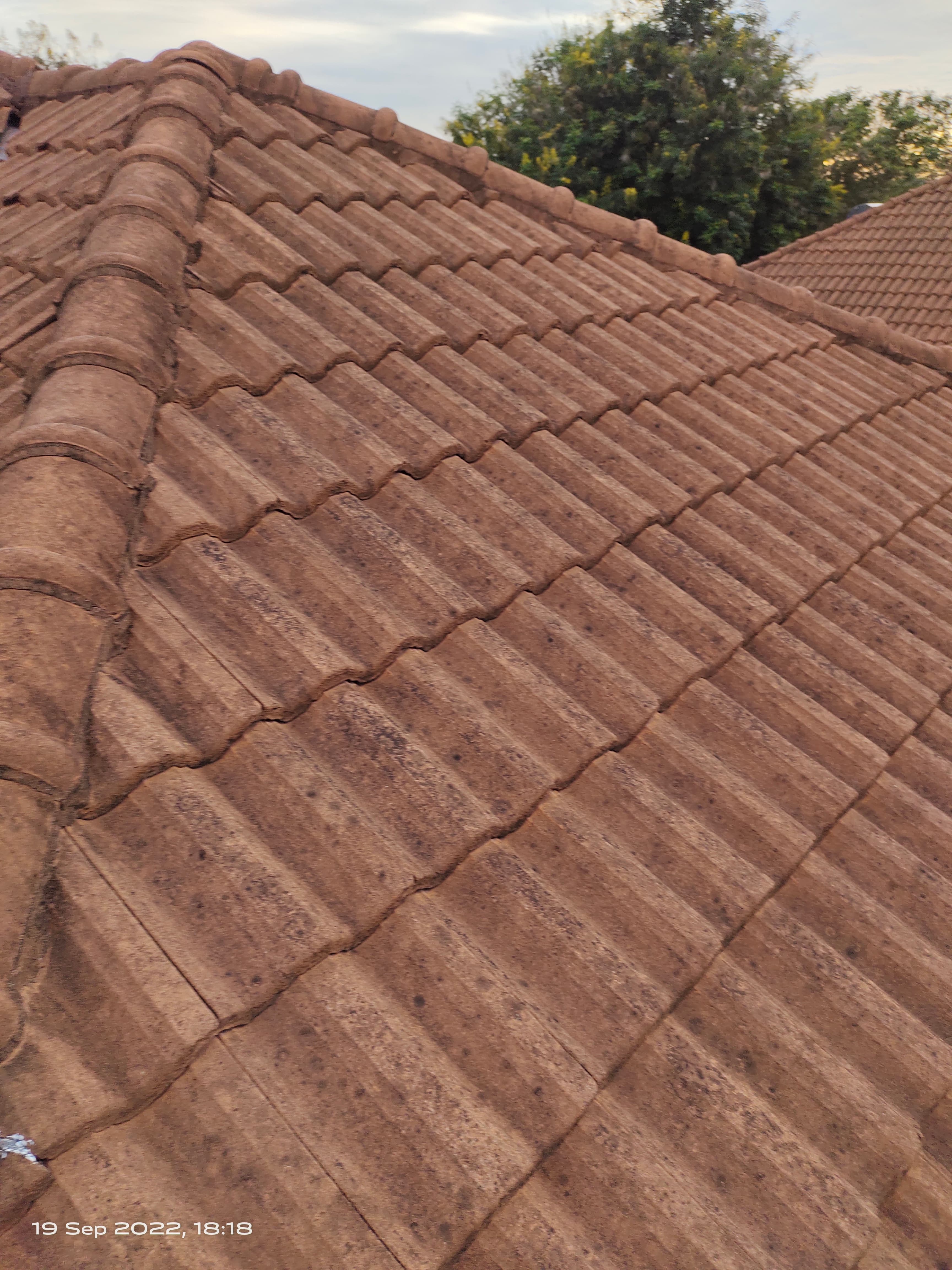 Roof Repair 